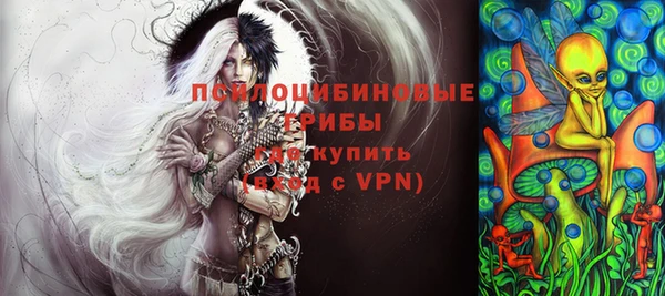 тгк Алзамай