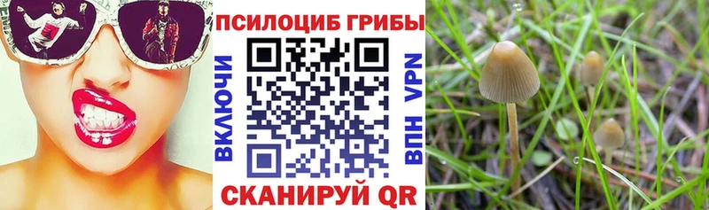 Псилоцибиновые грибы Magic Shrooms Валдай
